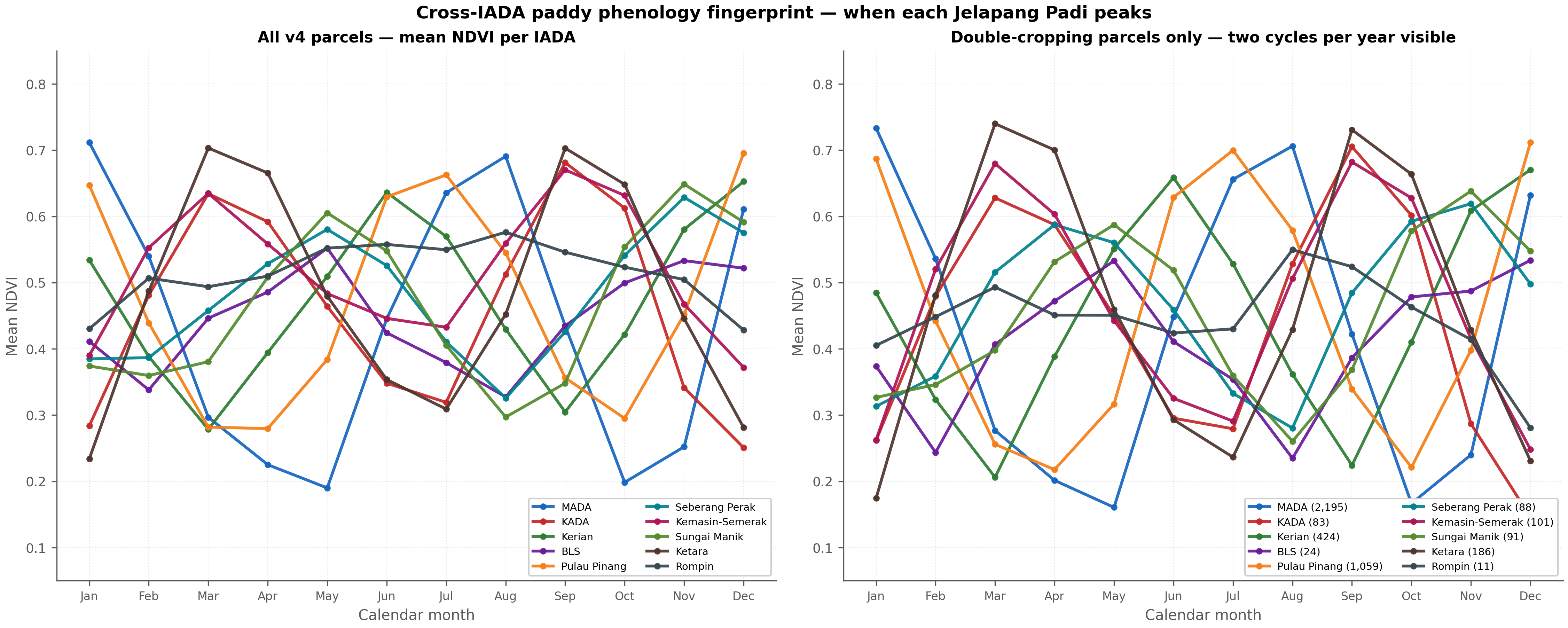 Cross-IADA phenology fingerprint — when each Jelapang Padi peaks